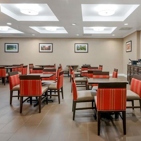 Comfort Suites Near Mcas Beaufort Exterior photo